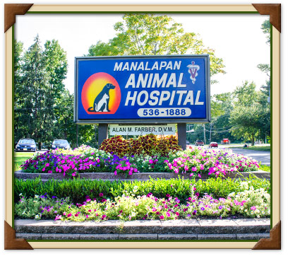 Manalapan Animal Clinic